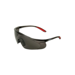 Lunettes de sécurité - OREGON Q525251