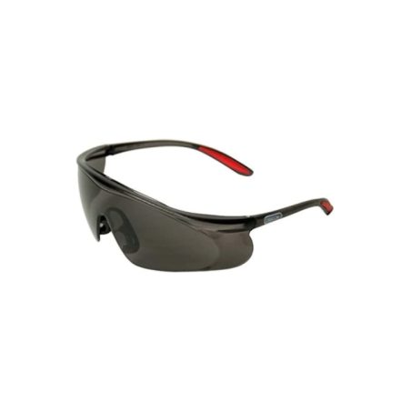 Lunettes de sécurité - OREGON Q525251