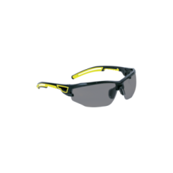 DELTAPLUS Lunettes de sécurité ASO2 SMOKE : Protection claire