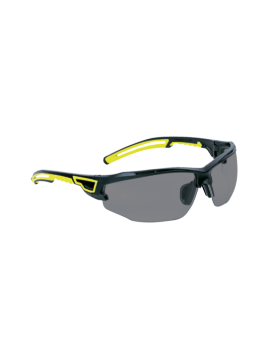 DELTAPLUS Lunettes de sécurité ASO2 SMOKE : Protection claire
