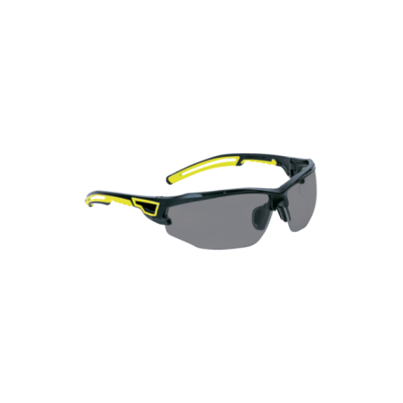 DELTAPLUS Lunettes de sécurité ASO2 SMOKE : Protection claire
