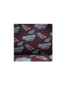 Sac à dos Stranger things Netflix LOUNGEFLY