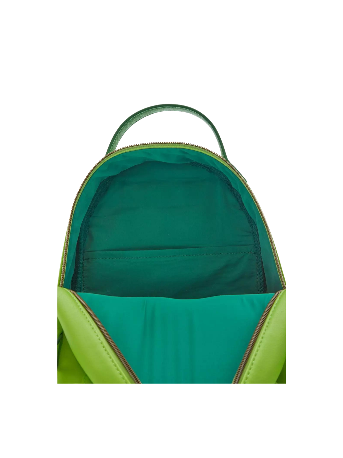 Sac à dos Pascal Flower Crown Raiponce Loungefly