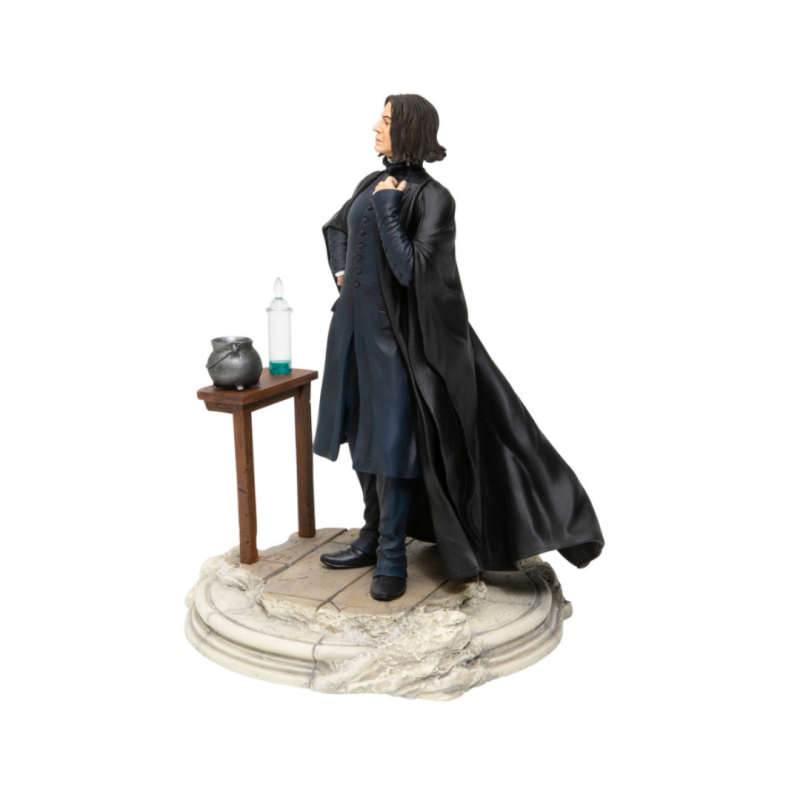 Figurine Rogue Harry Potter 6009037