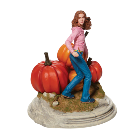 Figurine Hermione Harry Potter 6009017