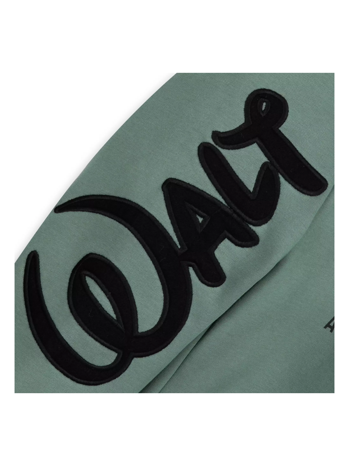 Sweat à capuche zippé logo Walt Disney World  DISNEY