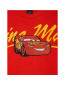 Sweat Flash McQueen Panel Xscript Cars Disney
