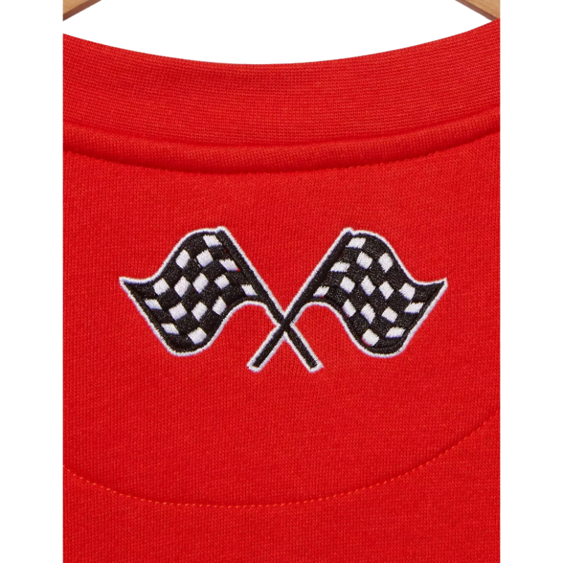 Sweat Flash McQueen Panel Xscript Cars Disney