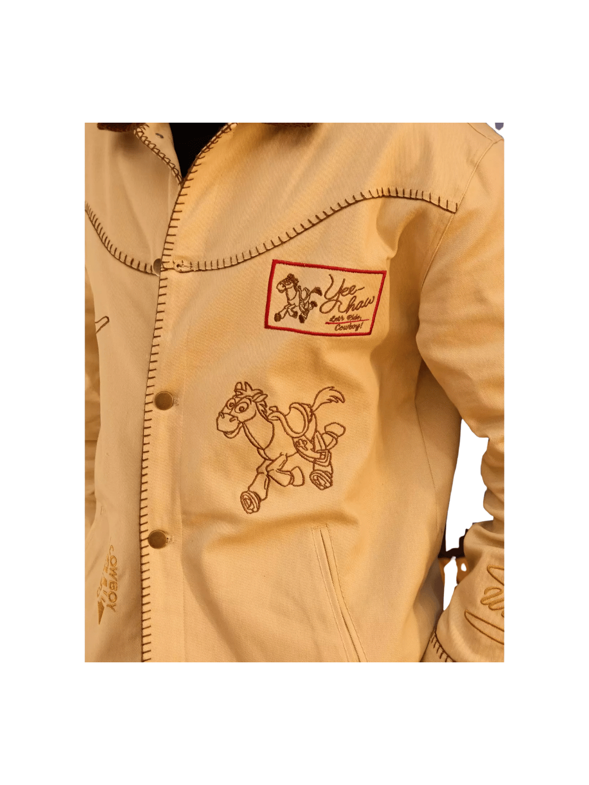 Veste Woody Icons Toy Story