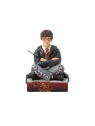 Figurine Harry Potter Avec Sa Baguette 6016699