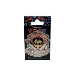 Pin's COCO Seize Moment  Disney