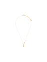 Collier Rose La belle & la bête Disney