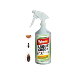 Spray insecticide - VULCANO Laque choc Destruction radicale