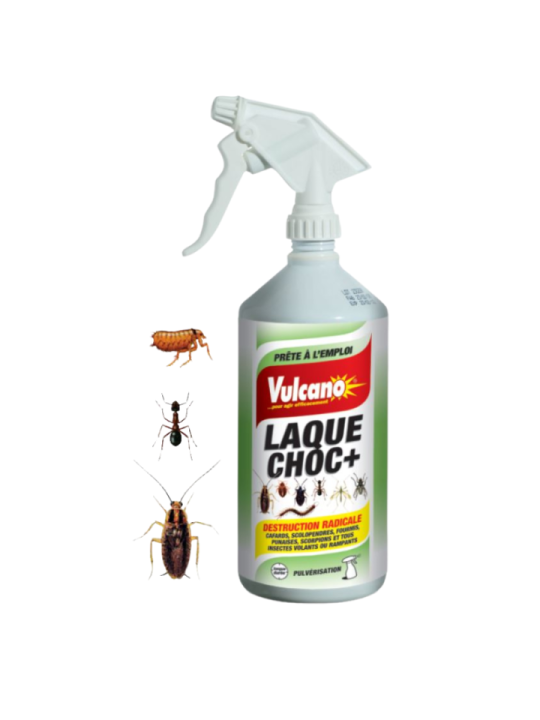 Spray insecticide - VULCANO Laque choc Destruction radicale