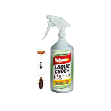 Spray insecticide - VULCANO Laque choc Destruction radicale