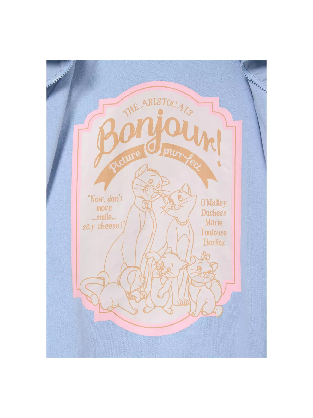 Coupe-vent Portrait de famille Les Aristochats  Disney