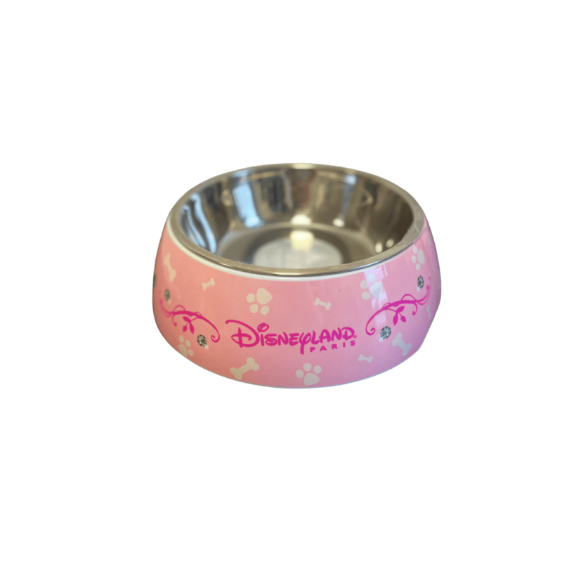 Gamelle Princess Disney