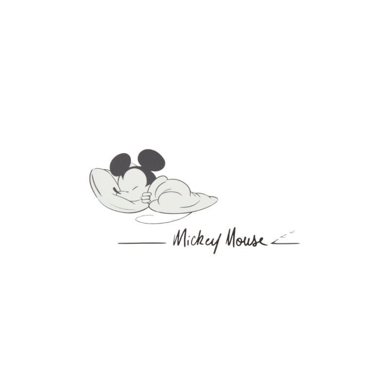 Petite assiette Mickey Disney