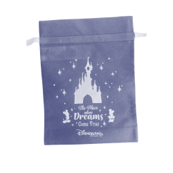Sac Cadeau Medium Disneyland Paris