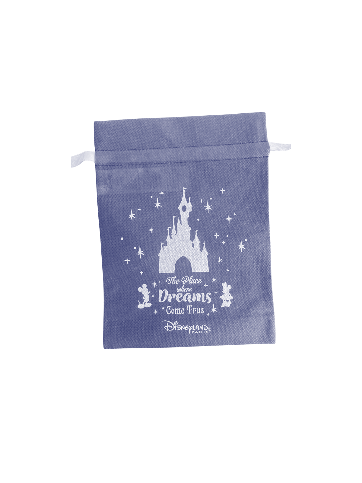 Sac Cadeau Medium Disneyland Paris