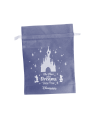 Sac Cadeau Medium Disneyland Paris