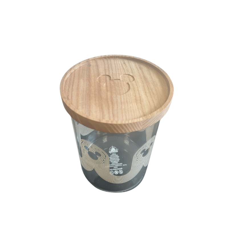 Pot Mickey Haven Disney