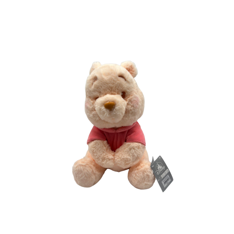 Peluche Winnie l'ourson pastel Disneyland paris