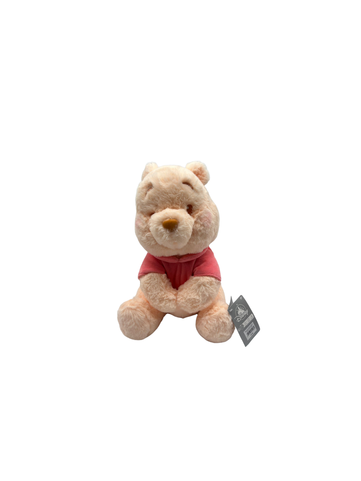 Peluche Winnie l'ourson pastel Disneyland paris