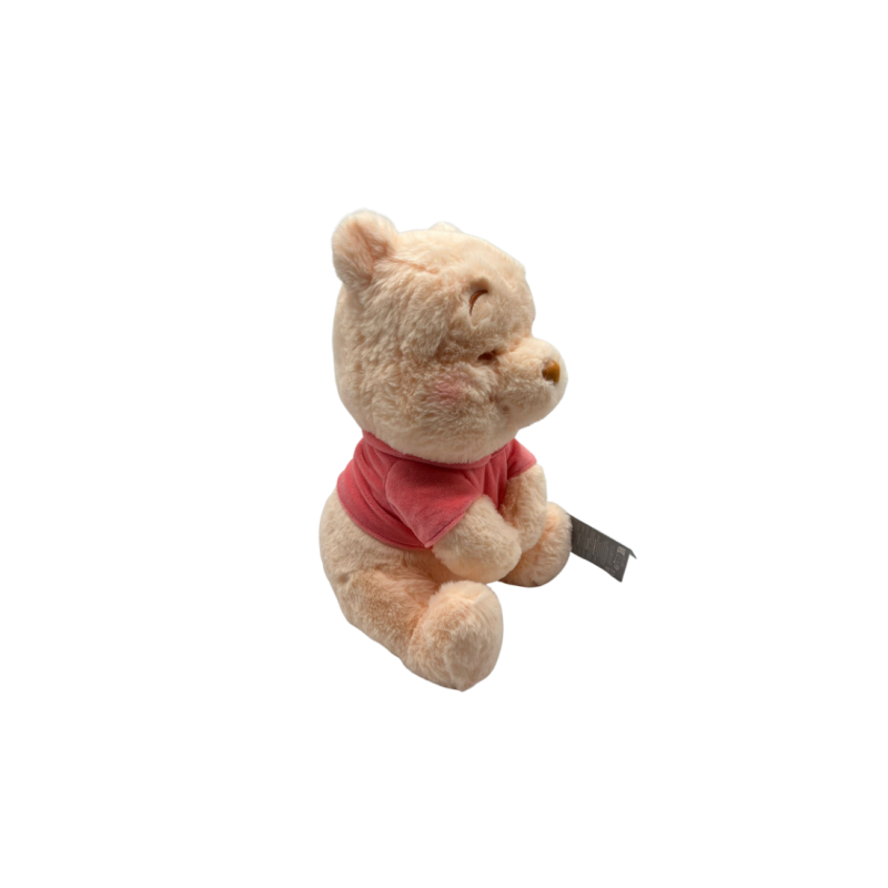 Peluche Winnie l'ourson pastel Disneyland paris