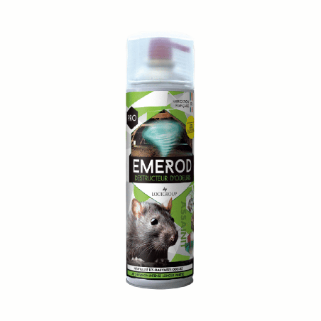 Destructeur Odeurs Professionnel Emerod Digrain 500ml Menthe R8073