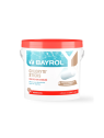 Chloryte Sticks Bayrol 4,5 kg Chlore Non Stabilisé 300g 2137212
