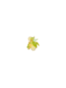 Pin's loungefly leaf cape fée clochette