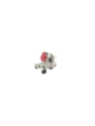 Peluche Pua naif Vaiana Disneylanbd paris