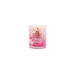 Bougie une mèche Aurore La belle au bois dormant Bath & body works Import