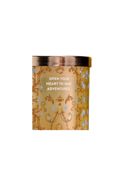 Bougie 3 mèches Belle La Belle & la bête Bath & body works Import