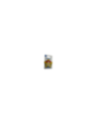 Pin's Jessie Toy Story 5 Disneyland Paris