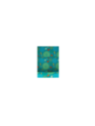Sac a dos loungefly stained glass vaiana