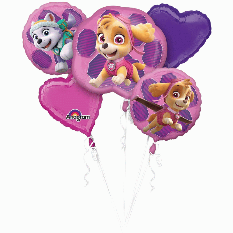 Bouquet ballons Paw Patrol Skye & Everest 3482801