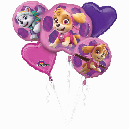 Bouquet ballons Paw Patrol Skye & Everest 3482801