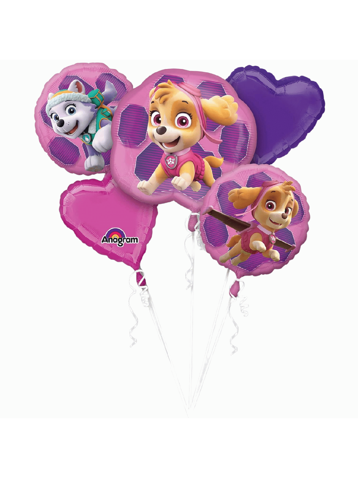 Bouquet ballons Paw Patrol Skye & Everest 3482801